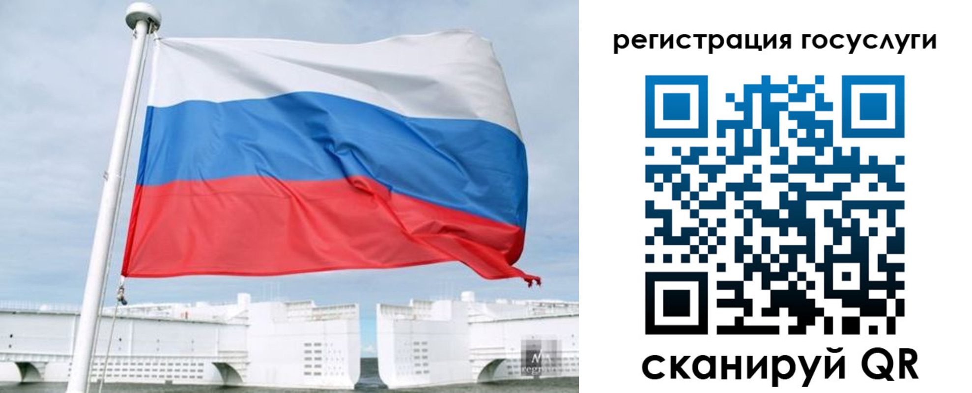 временная регистрация поиск в Лесозаводске